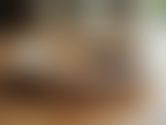 Explore Sustainable Shopping Online at Ninkus