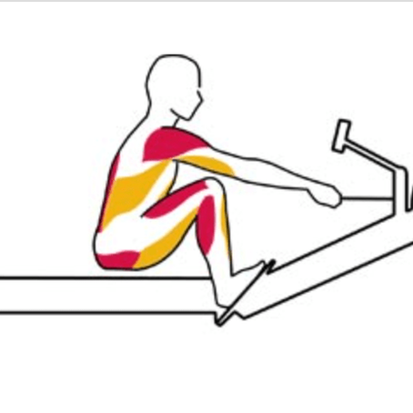 6 Best Rowing Machine Shoulder Exercises to Do Off the Rower