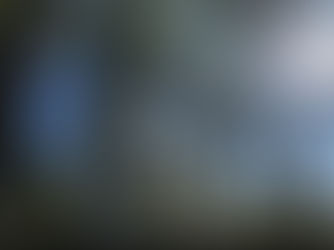 2020 IAPD Awards: CartierWilson presented Silver Educational award