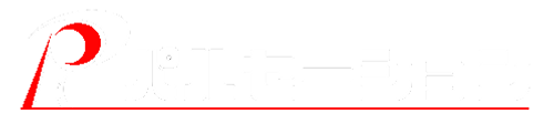 Palsation Logo (2透明).png