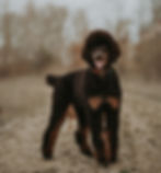 Osage