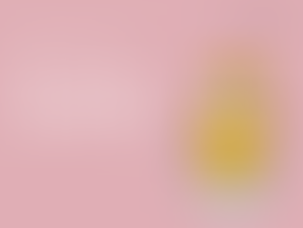 サンクスポイントラリー結果報告