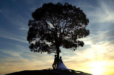 庄内緑地公園の丘の上で、夕日と大樹のシルエットをバックに寄り添う新郎新婦のフォトウェディング