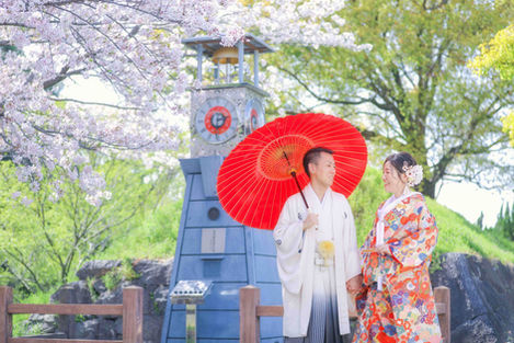 名古屋近郊の西尾市歴史公園で、春爛漫の桜の下、伝統的な和装前撮りを楽しむカップル。赤い和傘が春の息吹とともに二人の絆を際立たせています