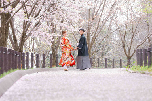 名古屋で春を感じる前撮り。満開の桜並木を歩く和装の新郎新婦
