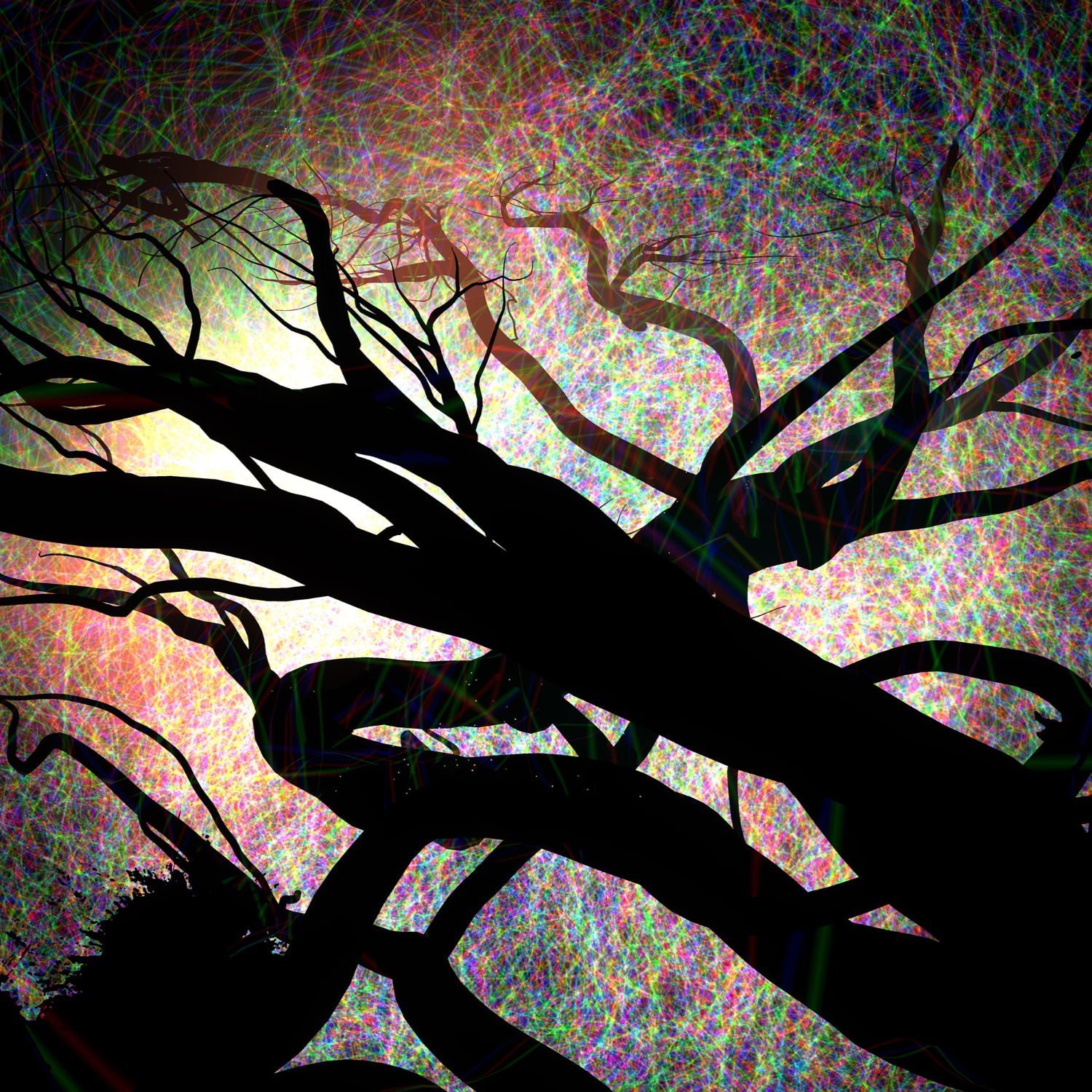 Pathways (2022) 40 cm x 40 cm Aluminum Print, Hand Signed 10/10