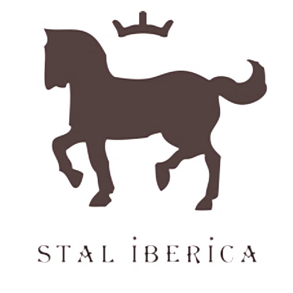 Stal Iberica