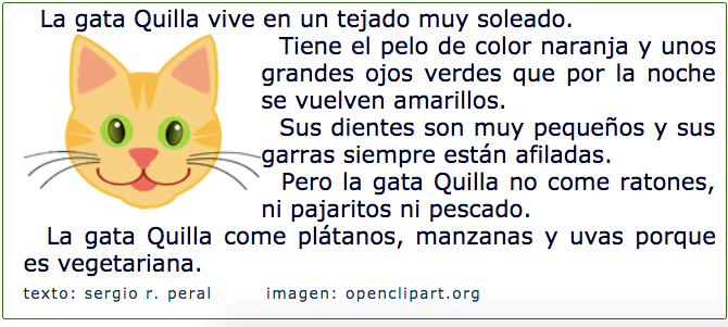 La Gata Quilla