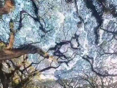 GROW INSPIRATIONAL AND TRANSFORMATIONAL- VIDEO