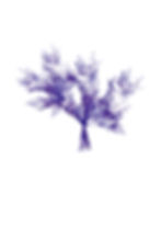 l'arbre_du_dragon_à_9_branches.jpg