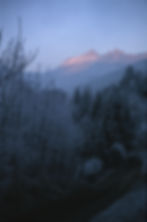 Caux 2001img.JPG