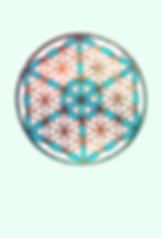 fleur.jpg