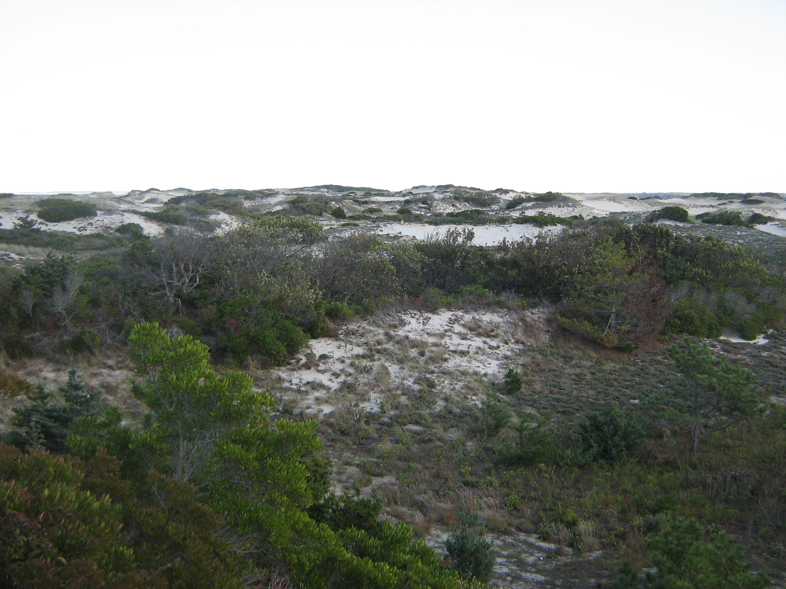 Sandy Neck