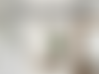 Choose Between Round, Arched, and Rectangular Mirrors for Different Rooms