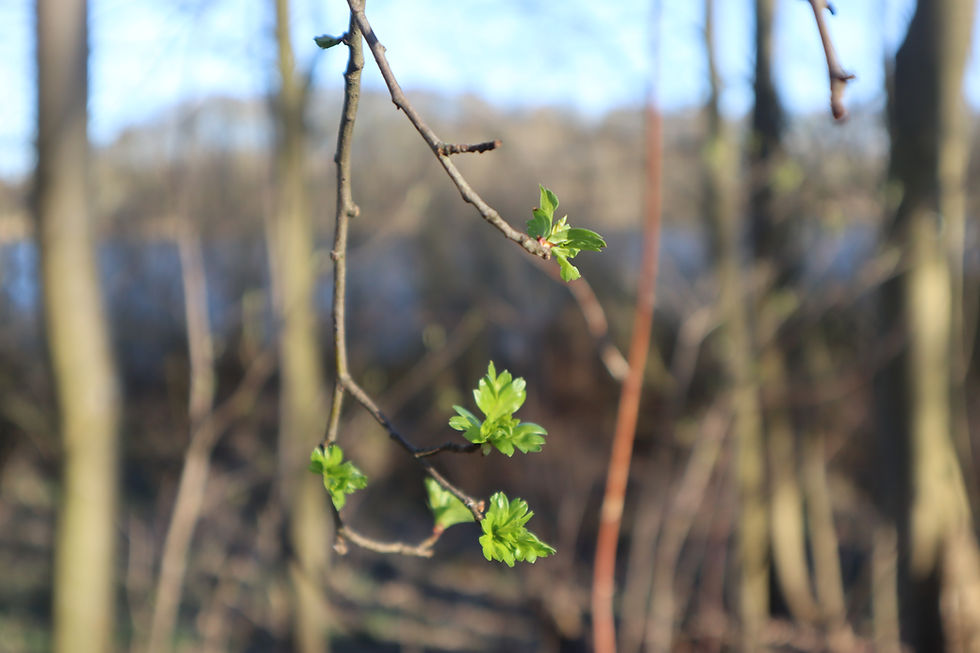 Im Zwischenraum liegt kreativer Reichtum