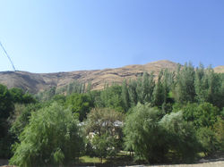SAM_3939