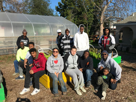 Creating Pathways To Greener Futures