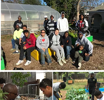 Creating Pathways To Greener Futures