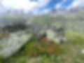 IMG_1533.jpeg