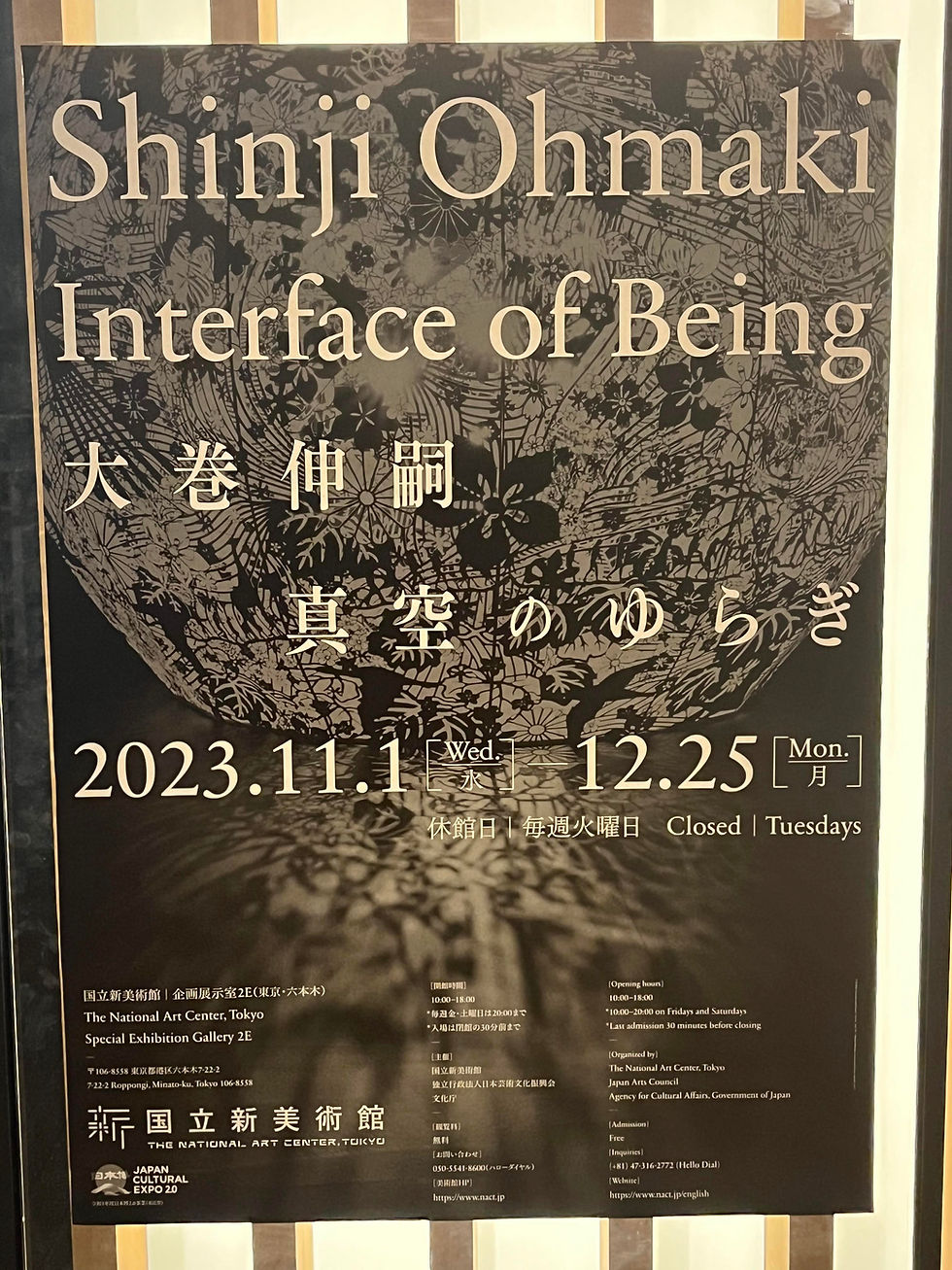 大巻伸嗣　真空のゆらぎ