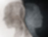 AdobeStock_250597219.jpeg