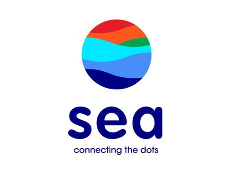 [SE|Sea Limited] 동남아시아의 떠오르는 태양, 씨의 실적과 성장배경에 대해 알아보자!