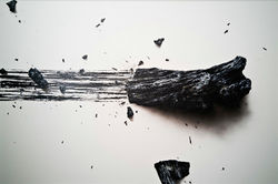 cada ser tiene su propia voz