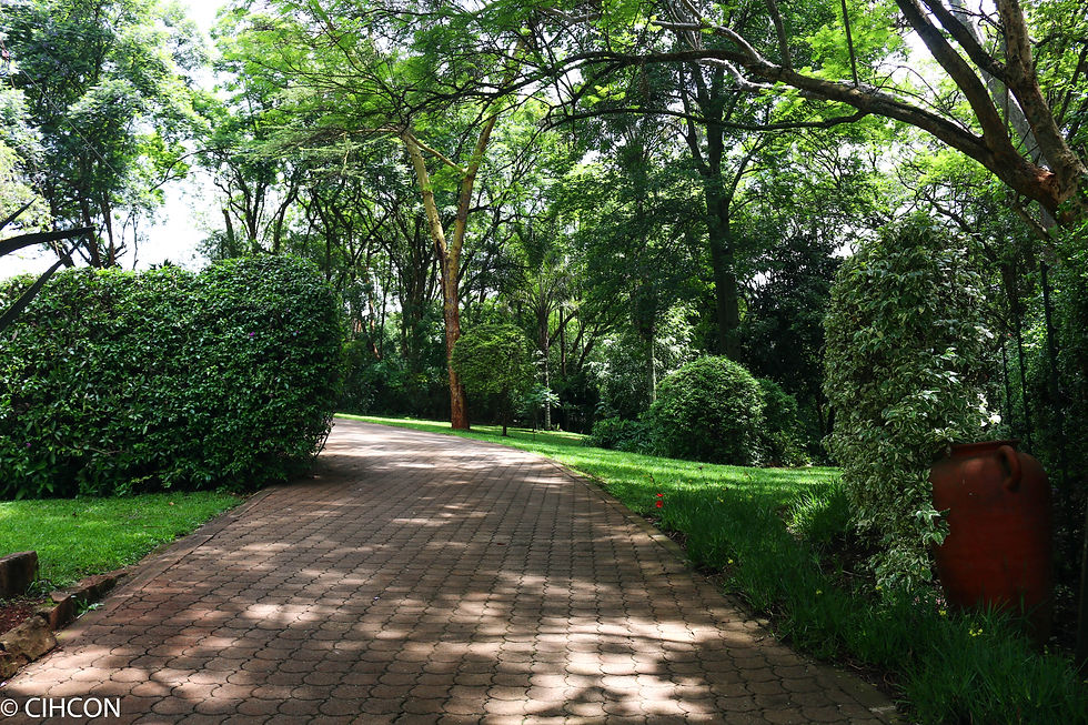 Driveway