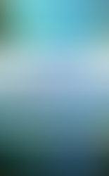 Hoje a ONU decidiu que o Oceano passa a valer mais do que já valia.