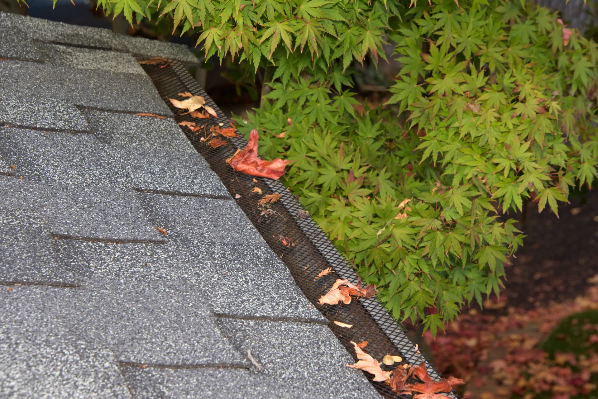 What are Gutter Screens and How Do They Work?