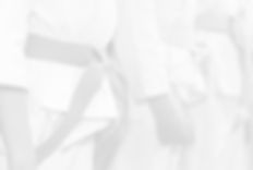 Martial Arts Class_edited.jpg