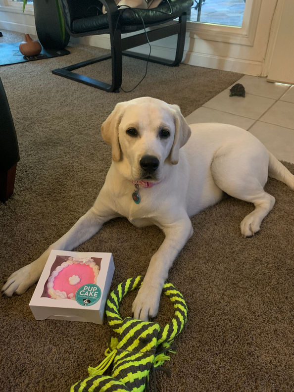 Cimarron 6 months