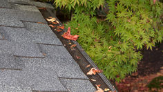 What are Gutter Screens and How Do They Work?