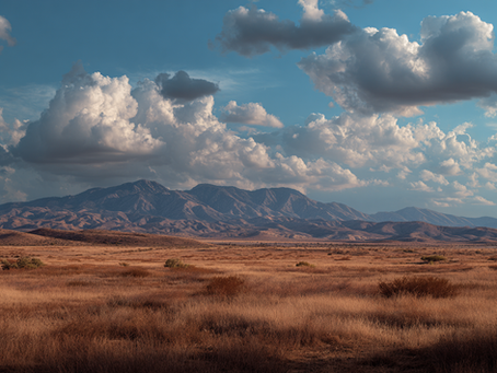 Investing in Mohave County Land: Statistics, Market Analysis & Future Predictions
