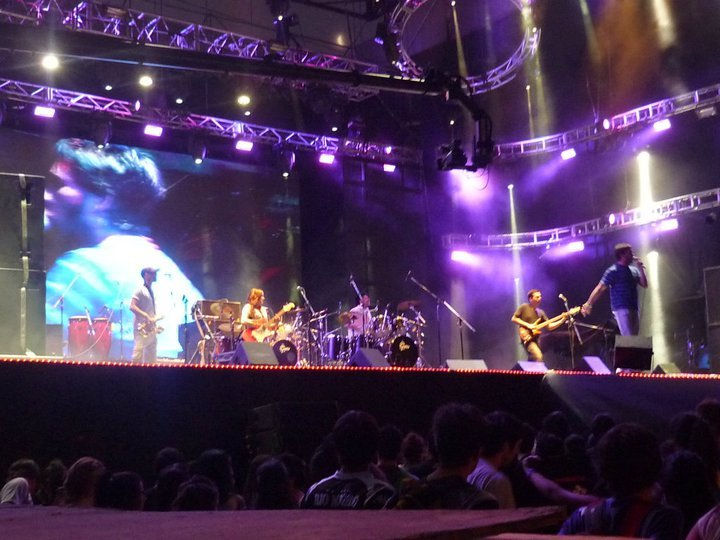 Fiesta de la Manzana 2010