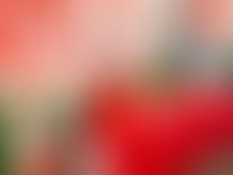 Makers Market at Darlington Farmers Auction Mart