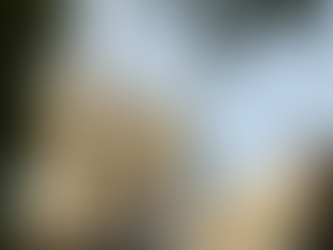 Westminster Abbey: A Timeless Icon of British History and Majesty