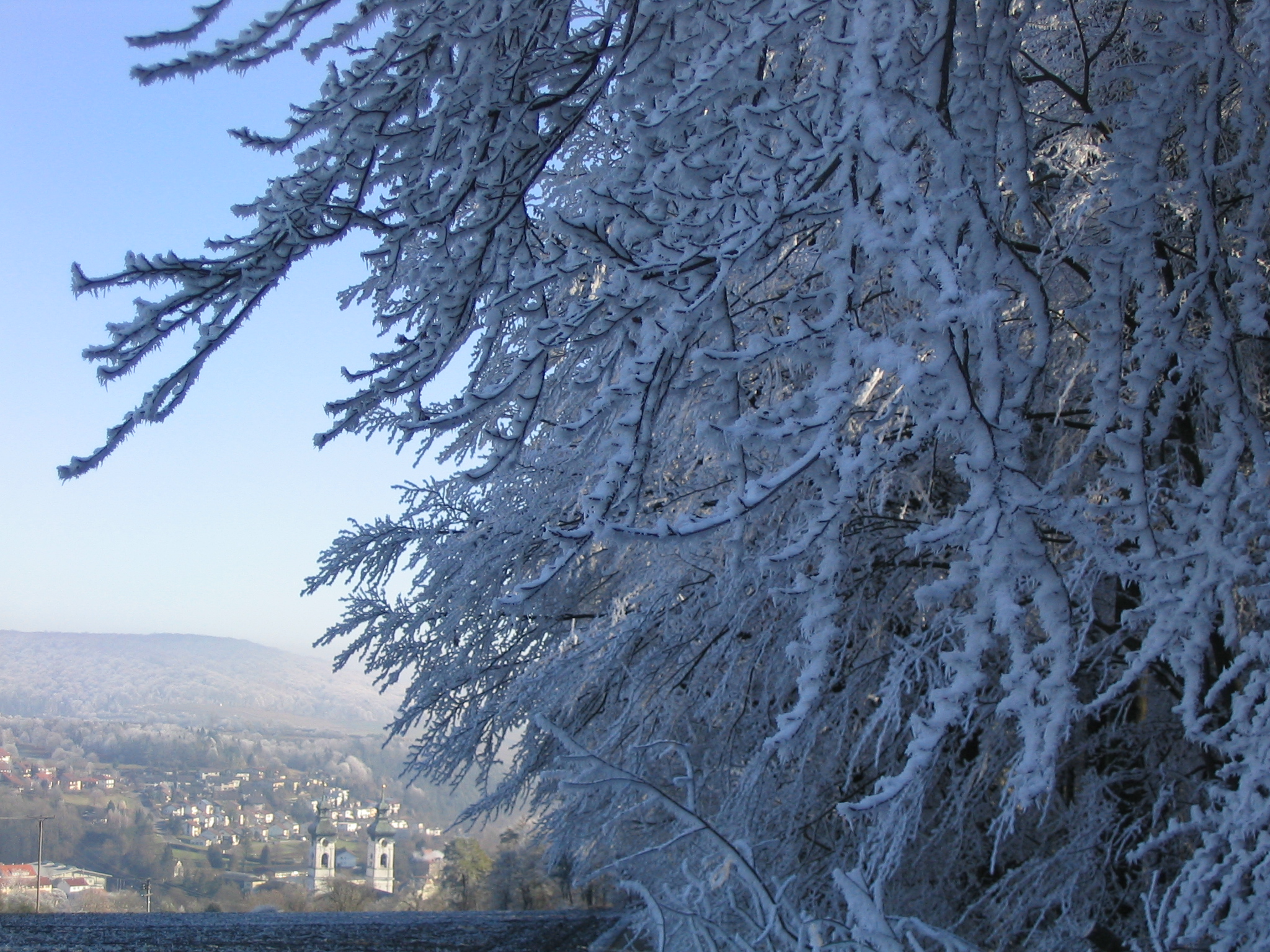Wintertraum