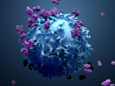 A New Dawn in the Fight Against Cancer: The Power of Your Own Immune System