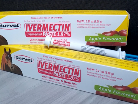 The Potential of Ivermectin, Oils, and Natural Remedies in Cancer Treatment: A Review of Clinical, In Vivo, and In Vitro Trials