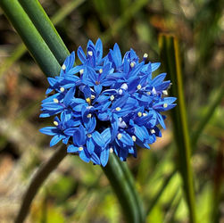 City of Launceston's bushland reserves update
