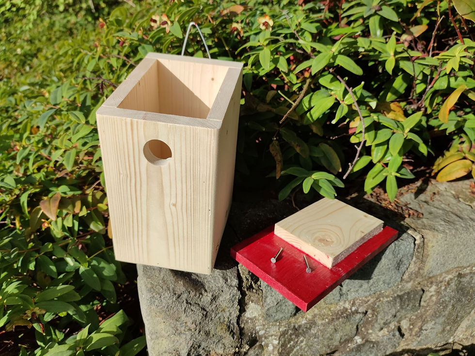 Miniature : Nichoir Mésange bleue - Boîte aux Lettres