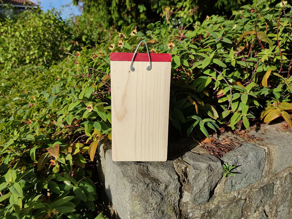 Miniature : Nichoir Mésange bleue - Boîte aux Lettres