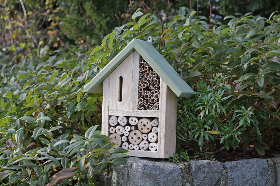 Miniature : Hôtel Classique pour Abeilles Solitaires et Papillons - 3 éléments