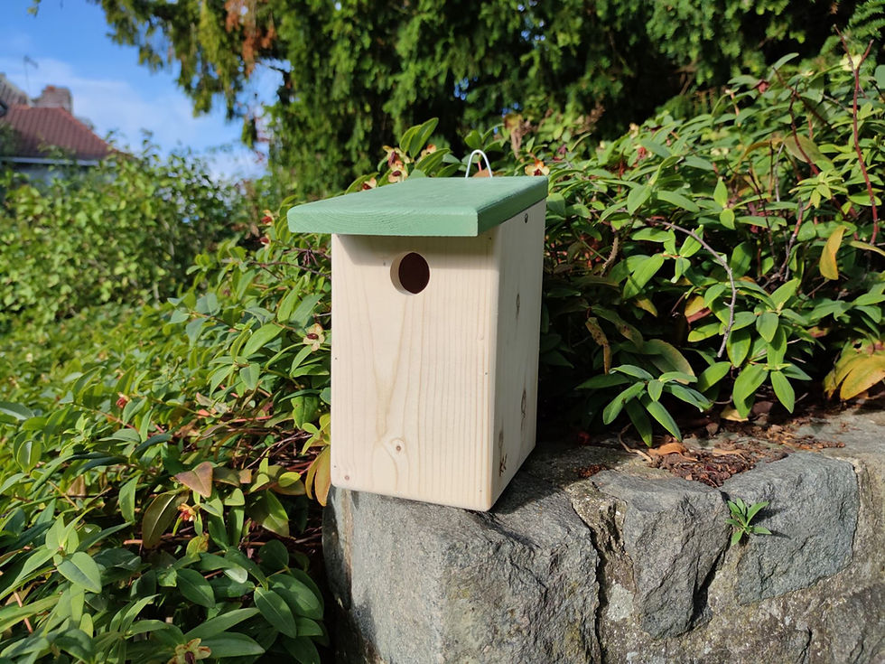 Miniature : Nichoir Mésange charbonnière - Boîte aux Lettres