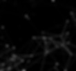 abstract low poly plexus design in black and white 0609.jpg