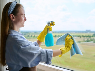 Why DIY Window Cleaning Might Not Be the Best Option for Dublin Homes