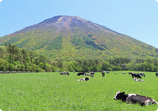 緑の牧草地で草を食む牛と山