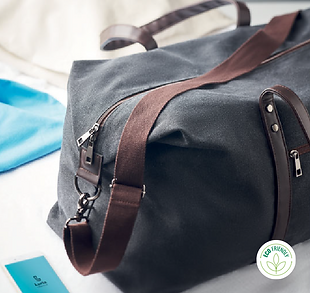 Goodies : Sac de voyage