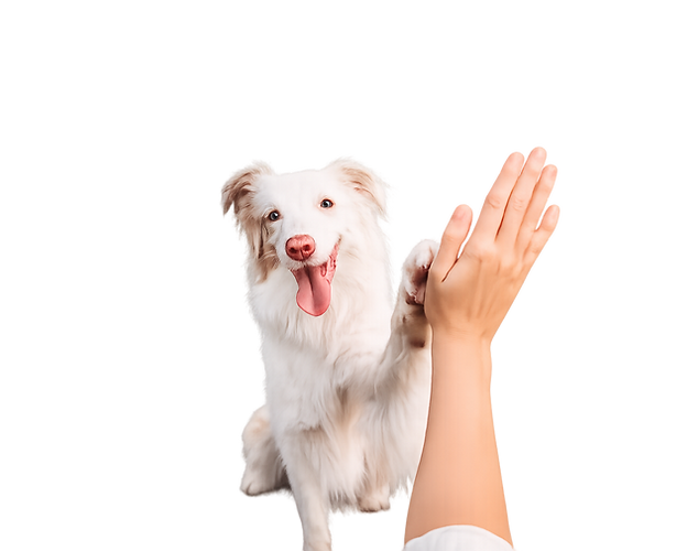 ChatGPT Image Jan 31, 2026, 10_44_16 AM.png